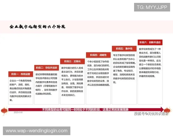 问鼎国际：数字化转型助推企业在国际市场中的竞争优势提升