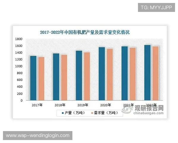 问鼎网娱乐在游戏行业中的发展战略与未来规划，助力玩家把握行业发展新机遇
